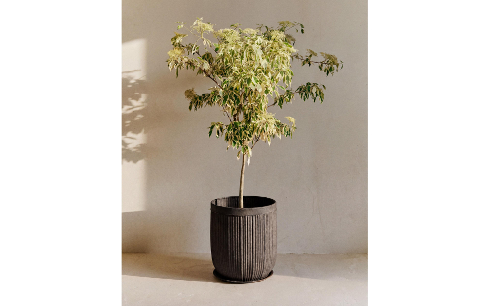 Zara Home Кашпо из металла, 46 см