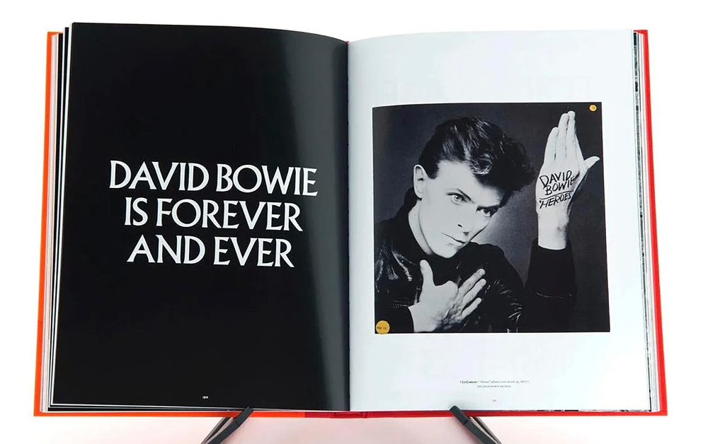 David Bowie IS (Внутри мира Дэвида Боуи)