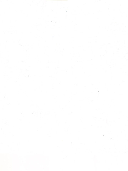 Масляная краска Белила цинковые нежелтеющие 40 мл