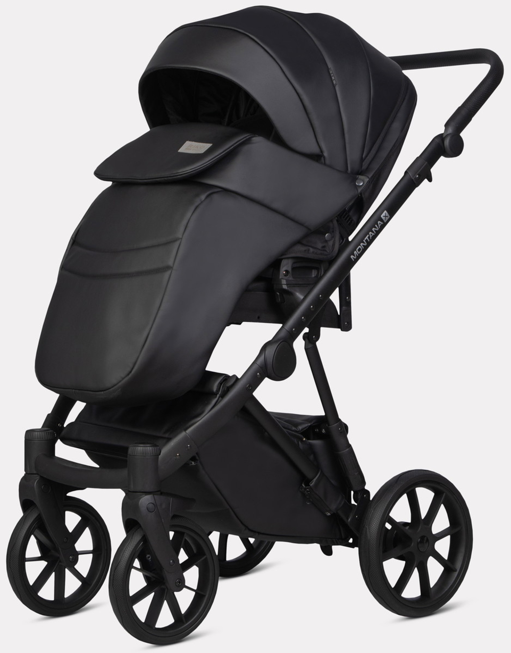 Детская коляска Riko Basic Montana X Ecco 2 в 1 12 Black (черный)