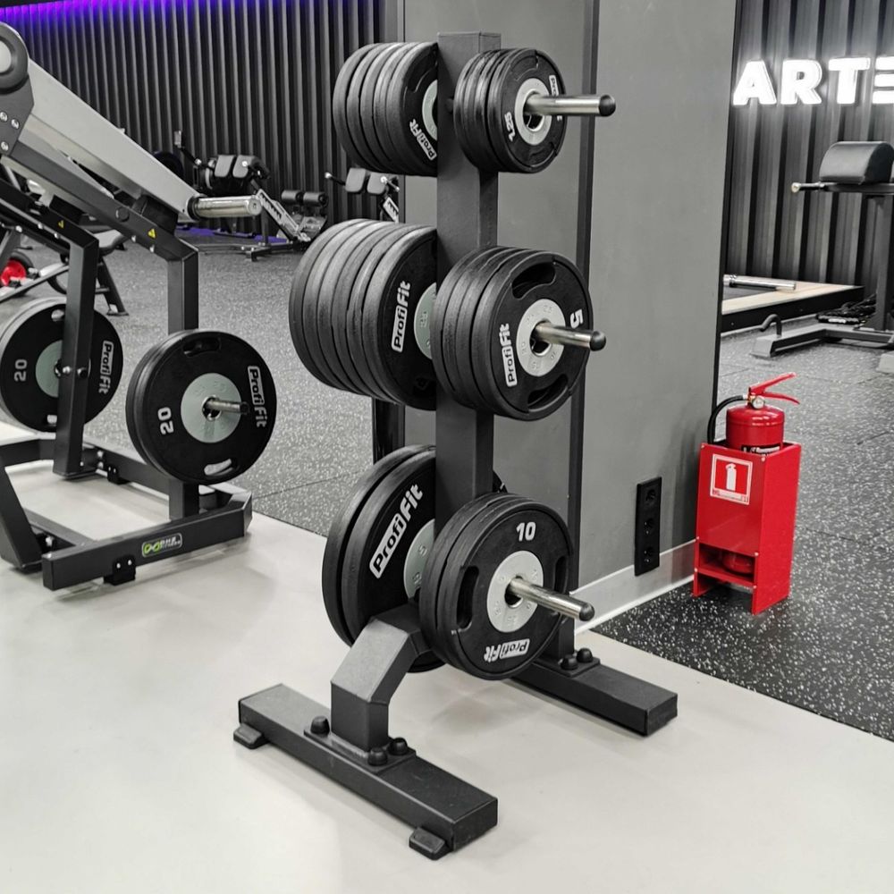 A3054 Стойка для олимпийских дисков