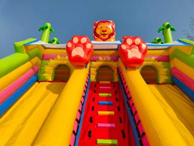 Коммерческий надувной батут «Тигриная страна 6», 10*6*5,5 м