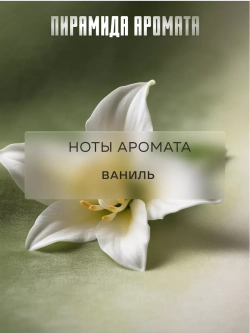 Парфюмерная отдушка Prof-Royal Ambre &Vanille, для свечей, мыла, диффузоров, бесцветная, 5мл