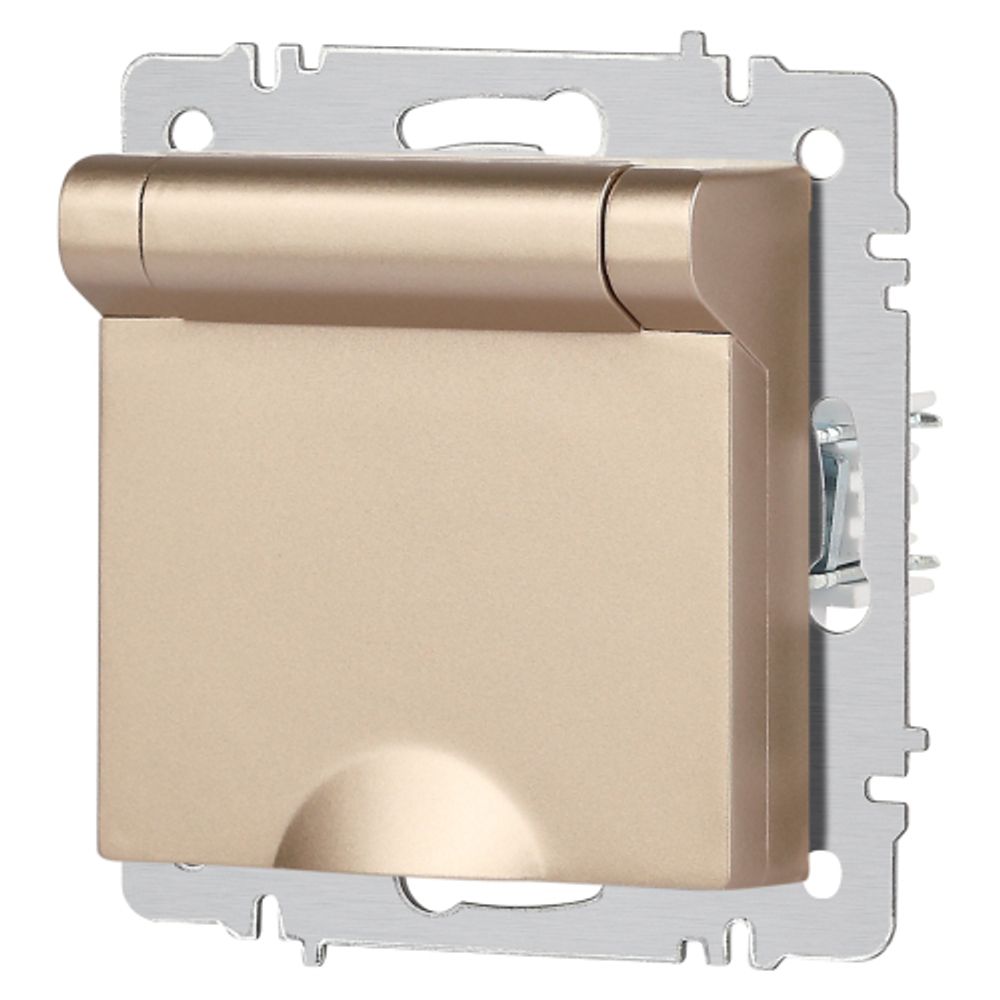 Розетка Intro Accent 6-203-04 2P+E Schuko с крышкой 16А-250В IP20 СУ AL/CU шампань