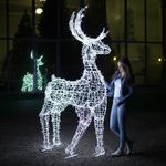 Световая фигура «Олень» с классическим каркасом