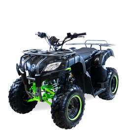 MOTAX ATV Grizlik 200 cc 4TЧерно-зеленый