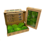 Мох кочкообразный "Verdissimo" New