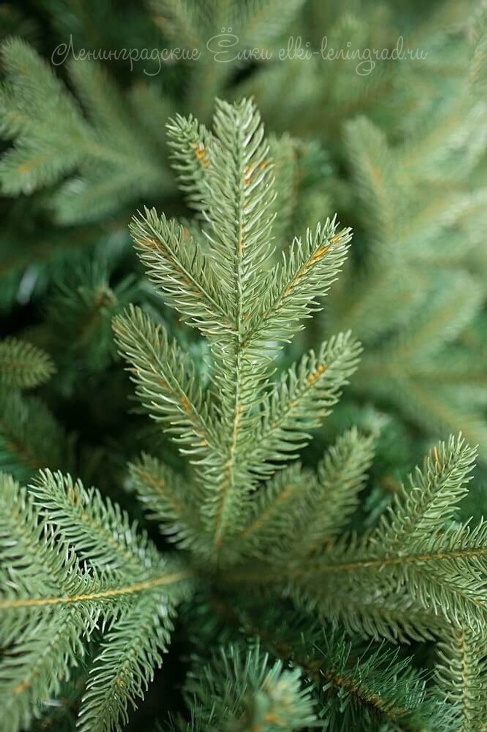 Елка с гирляндой «Валерио» (Литая+пвх) от 1.2 до 2.4 м