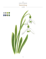 Fine Flower Botanical Art. Coloring book