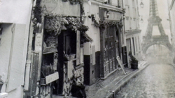 Микровелюр Xpoint (Икспоинт) 0019.01 Париж зонт