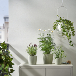 IKEA BROKSPIREA  (ИКЕА БРОКСПИРЕА)  -  Простыня, светло-зеленая, 12 см