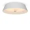 Потолочный светильник FR10013CL-L24W Элементы 24 Вт LED Freya fr10013cl-l24w