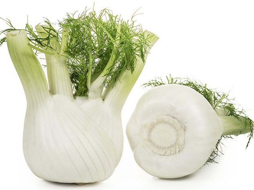 Прелюдио F1 семена фенхеля (Enza Zaden / Энза Заден)