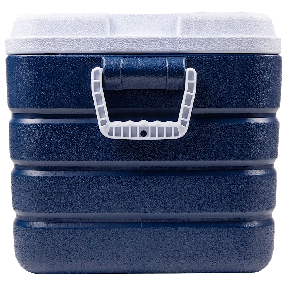 Контейнер изотермический CW Thermobox Family Line 060 65л Синий Белый 63х43х40см 4.9кг 72ч Аккумулятор в комплекте 138385 / FL-S060