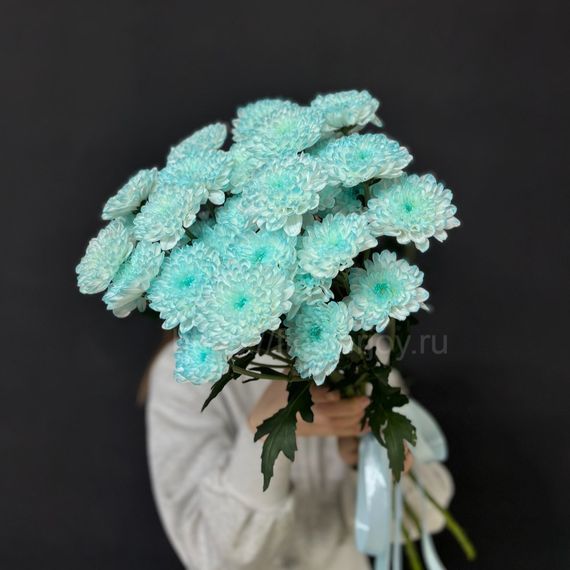 Букет из голубой хризантемы
