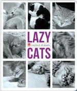 Тетрадь А5 48л. клетка "Ленивые котята" в ассорт. (Альт)