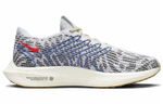 Кроссовки Nike Pegasus Turbo Next Nature