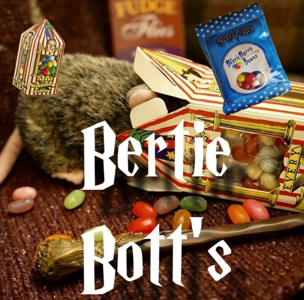 Bertie Bott's