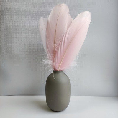 Гусиные перья нежно-розовые ровные 20шт.