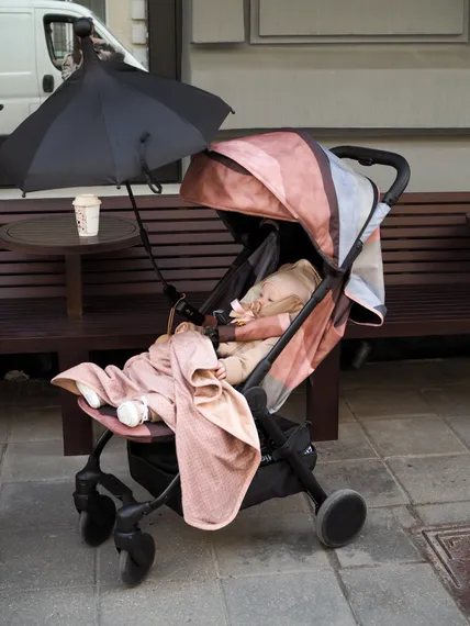 Прогулочная коляска Elodie Mondo Winter Sunset