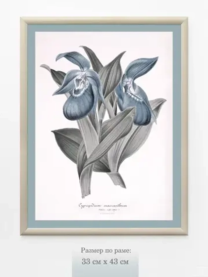 Картина на стену интерьерная на холсте 33*43 см