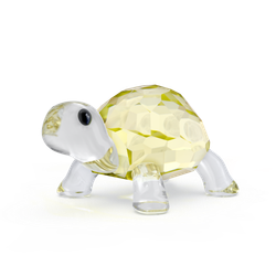 IDYLLIA:BABY TORTOISE