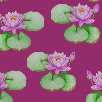 Цветы лотоса на темно вишневом фоне