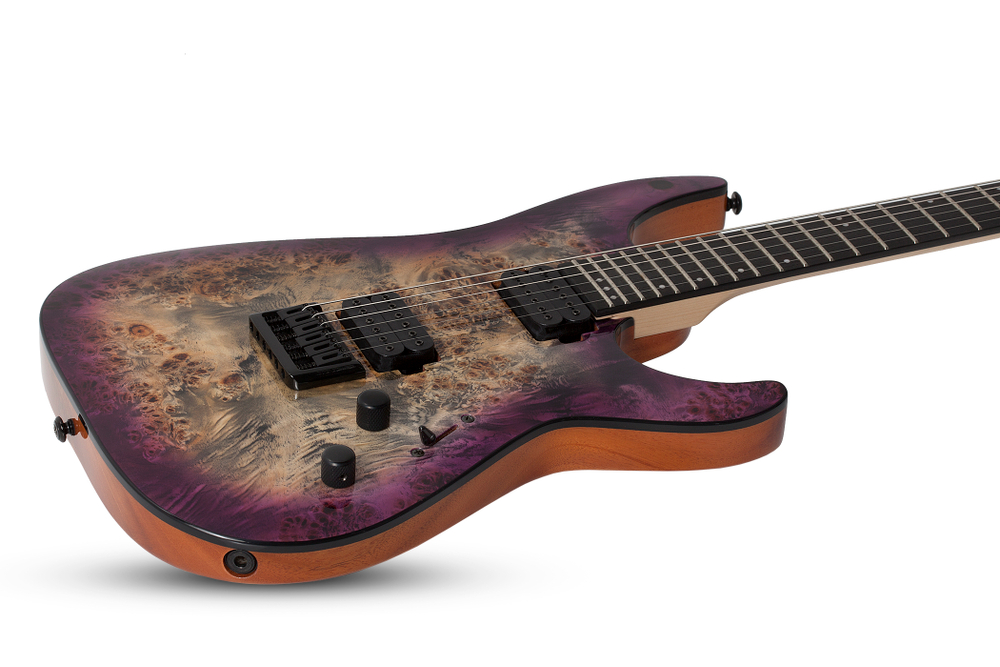 schecter_c-6_pro_arb_1.jpg