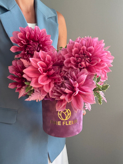 Эксклюзивные георгины