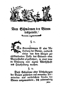 Abhandlung Vom Schwarmen Der Bienen | Anton Janscha
