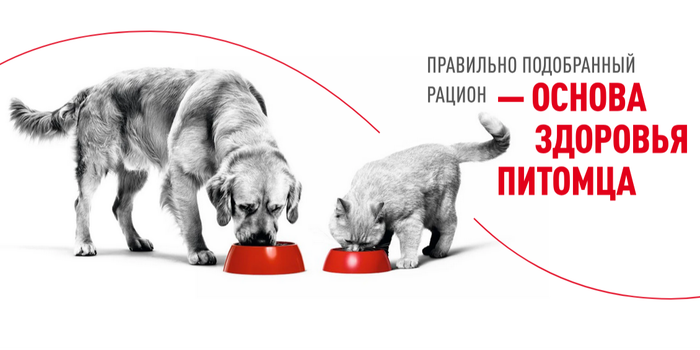 Преимущества рационов ROYAL CANIN®