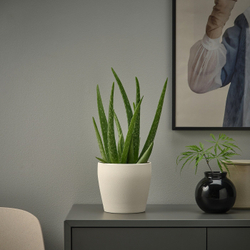 IKEA PERSILLADE  (ИКЕА ПЕРСИЛЛАДЕ)  -  Подгузник, светло-бежевый, 12 см