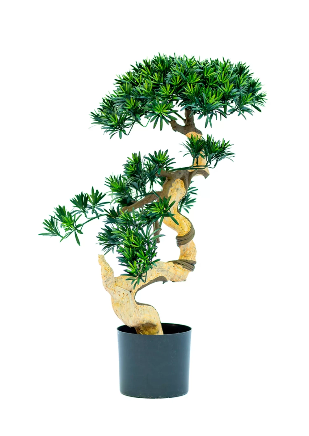 Бонсай листовой в. 85 см/ ш. 60 см(белый ствол)