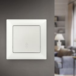 Переключатель Intro Solo 4-103-06 одноклавишный 10А-250В, IP20, СУ, перламутр