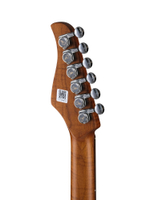 P800-Professional-800-DS Электрогитара, серебристая, GTRS