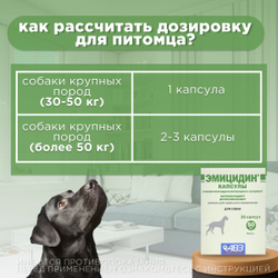 Антиоксидантный препарат, АВЗ Эмицидин, 30 капсул/50 мг