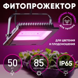 Фитопрожектор для растений светодиодный ЭРА FITO-50W-RB-LED для цветения и плодоношения красно-синего спектра 50 Вт