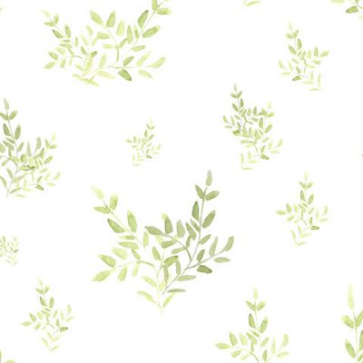 Нежные листочки на белом фоне