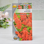 САЛЬВИЯ Красная (0,1г) Цв.пак.(10шт)