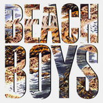 The Beach Boys / The Beach Boys (LP)