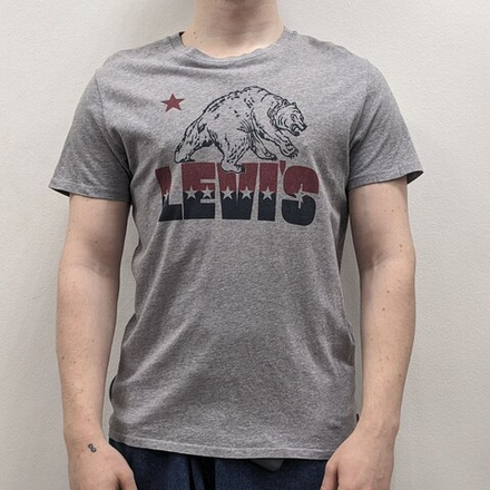 Футболка Levi`s (M)