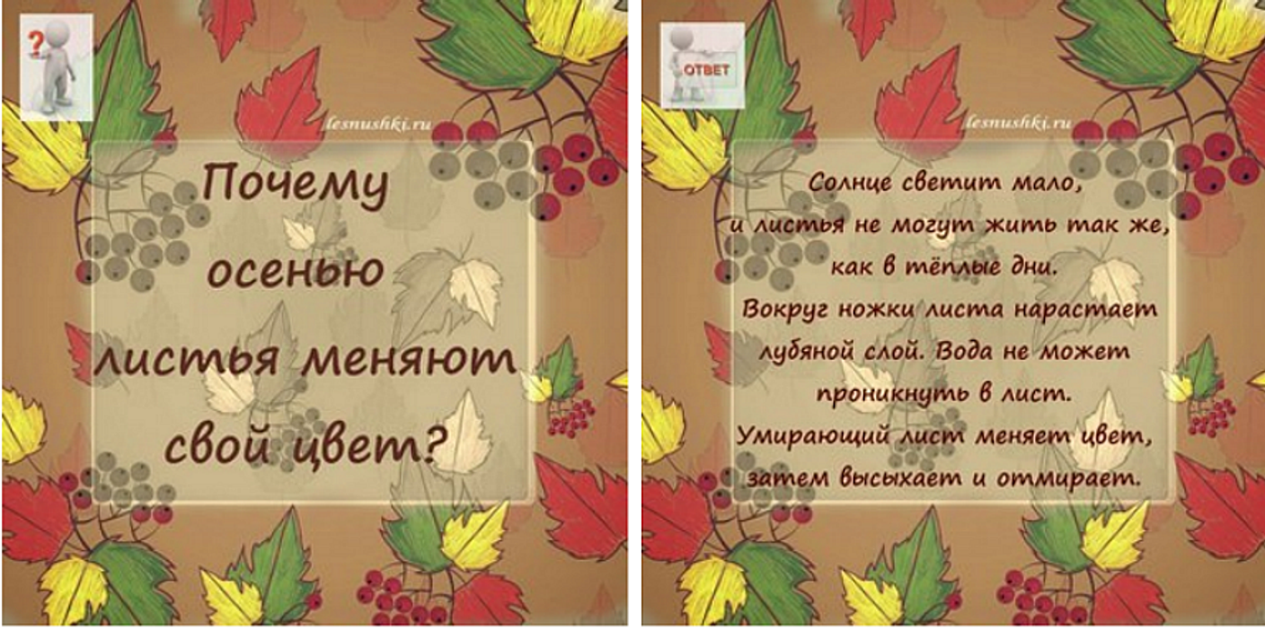 Изучаем листья. Второй урок