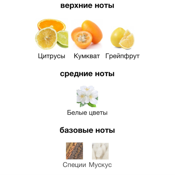 MONTALE Soleil De Capri 100мл