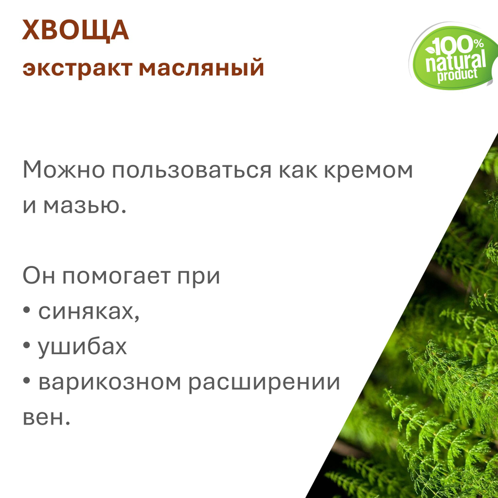 Экстракт хвоща, масляный