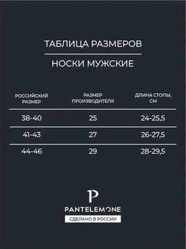 Носки мужские Pantelemone PN-100 ,синие