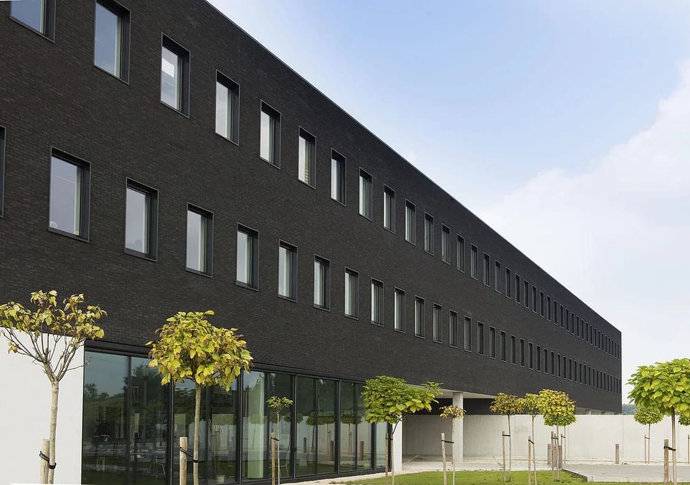 Кирпич ручной формовки облицовочный Nelissen, Ferro, WF50, 210x100x50