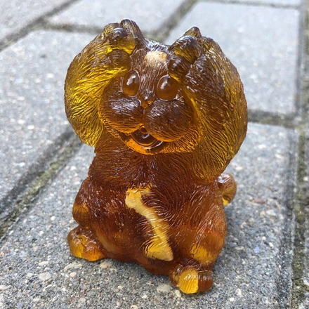 Котик удивлен