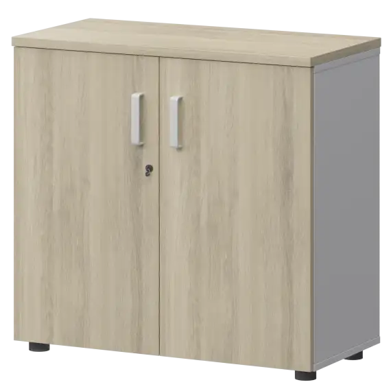 Шкаф СМШ-28Д Тип2  792x380x836 Смарт