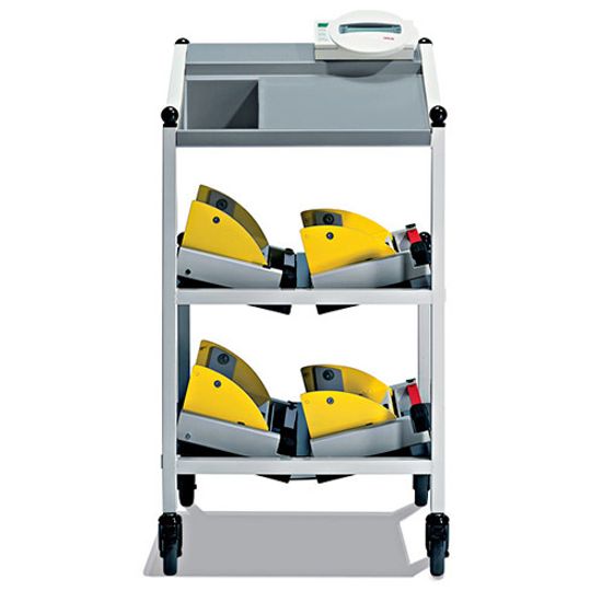 Электронные прикроватные диализные весы Seca 984