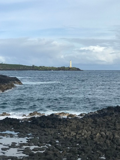 Институт Физического Мастерства - Вебинар 14